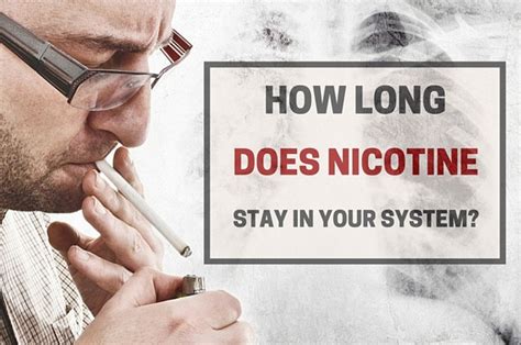 High nicotine content never, ever in my life have i ever even put one to my lifs, my mom smoked old golds, dad was lucky strike, brother camels, sister marlboro's and the other brother camels. How to pass a nicotine test in 12 hours, IAMMRFOSTER.COM