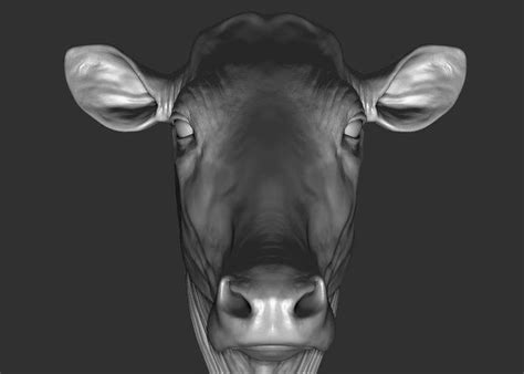 Gozu (牛頭, cow head), also known as ox head, is a japanese urban legend about a fictional story called supposedly the cow head story is so horrifying that people who read or hear it are overcome with. Cow head 3D - TurboSquid 1396830 in 2020 | Cow head ...