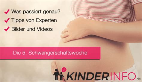 Schwangerschaftswoche (ssw) mit dem grossen babybauch einen ausflug ins wasser, das entspannt herrlich. ᐅ 5. SSW (Schwangerschaftswoche) | Die Infos im Überblick