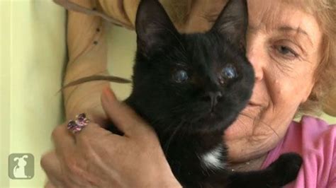 Funny nsfw memes to browse while you;re at home. Born Blind and Without Eyelids, Babaganoush Finds a Home (With images) | Kitten rescue, Kitten ...