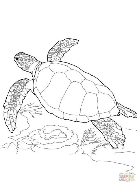 Check spelling or type a new query. Green Sea Turtle Coloring Page - youngandtae.com | Turtle ...