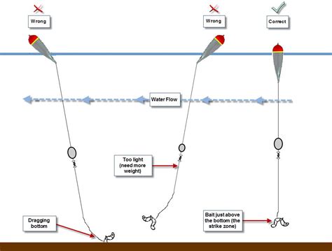 If you have, then select. The Float Fishing Setup in 2020 (With images) | Fish ...