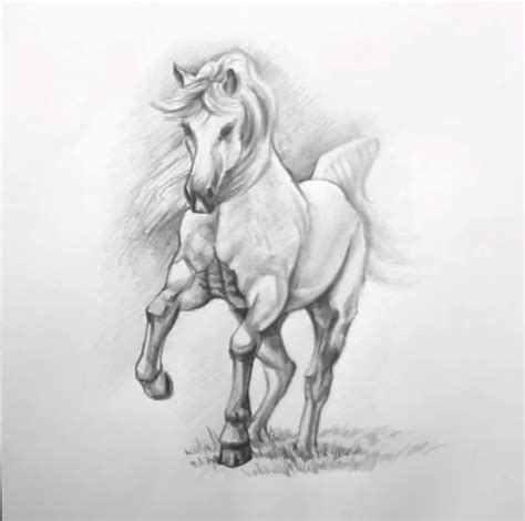 Running horse drawing step by step. Horse Drawing Step by Step #Horse #Drawing | Step by step ...
