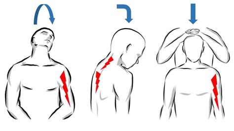 바로 누운 자세에서 다리를 천천히 들어 올렸을 때 30~70도 정도에서 통증이나 저린. 목디스크란? 한눈에 알아보는 5가지 목디스크 핵심 정보 - 옆집의사