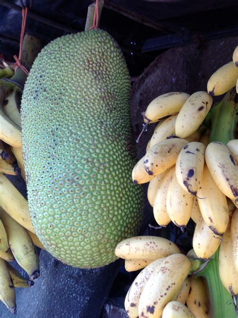 The hearty texture of jackfruit makes it a satisfying meat replacement in vegan dishes. Flavors of the Sun: Mexican Fruit...and a Recipe