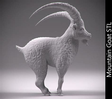 How to find 3d animals on google. Mountain goat STL 3D print model | CGTrader
