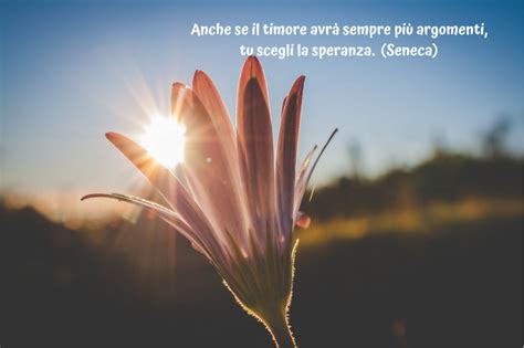 Frasi speranza, frasi belle su speranza. frasi Archives - Blogmamma.it