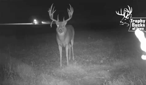 Best wireless trail camera on the market. The Combine Buck: One of the Best Trail Cam Videos from ...