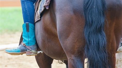A wide variety of horse riding spurs options are available to you, such as type. Words Matter - Terry Golson