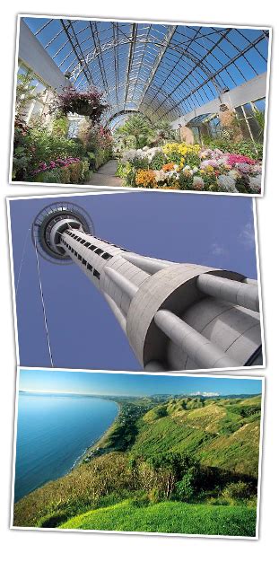 International Relocation to New Zealand - Gentle Giants Removals