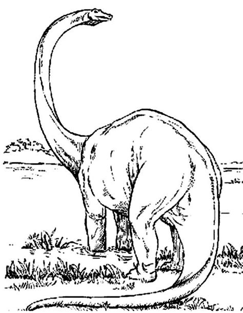 Sure, you and your kids will like that. Pin by ColorLuna on Brachiosaurus Coloring Pages ...