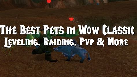 Best Pets in Wow Classic For Leveling, Raiding, PvP ...