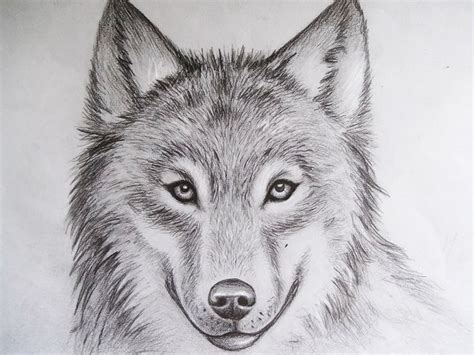 Learning how to draw animals like dogs is easier than it seems. Pin on Drawing