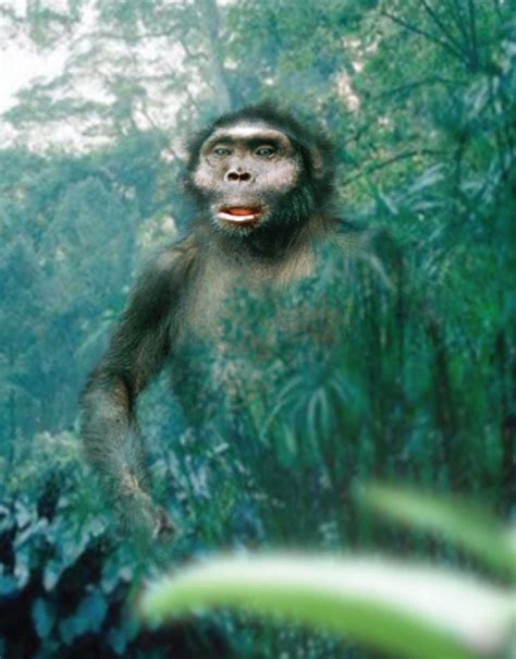 Celebrating the turkana human when fossil hunters spotted a tiny skull fragment in kenya's lake turkana basin on this day in 1984, they didn't yet know they had discovered part of the most. Kenyanthropus platyops is a 3.5- to 3.2-million-year-old ...