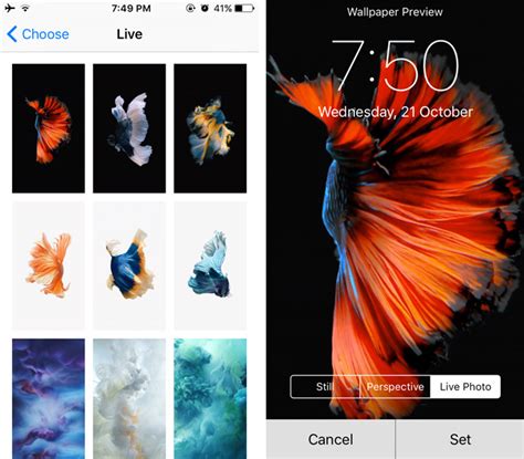 There are several apps on the web, which can get you live wallpapers for your desktop. Download How To Get Live Wallpapers On Iphone Gallery