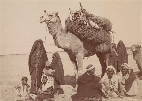 Types of sexual life cycles: beduin-bedouin-camel-racing-nile - Green Prophet