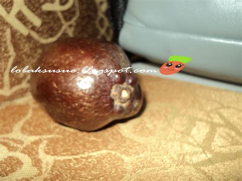 Ya harusnya 20 menit juga. Buah Zuriat/ Adam Hawa