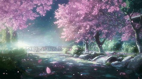 Nov 30 2019 awesome sakura tree wallpapers for android sakura tree. my gif gif pretty anime beautiful movie edit cherry ...