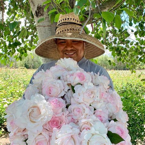 Maybe you would like to learn more about one of these? Rozenkwekerij Van Biesen - Van Biesen Rose Farm on Thursd