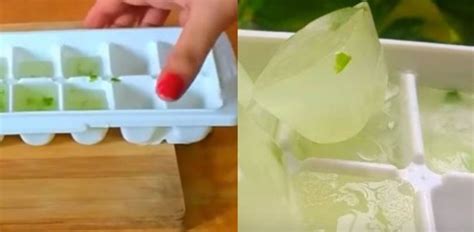 Frulla e metti in freezer: realizza il cubetto di ghiaccio ...