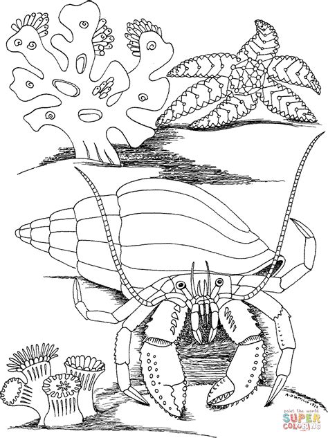 Google has many special features to help you find exactly what you're looking for. hermit crab silhouette - Google Search | Fish coloring page, Free coloring pages, Coloring pages