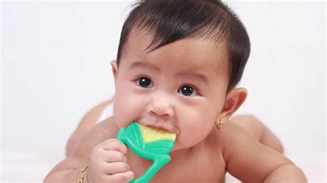 Duet combo fosfor dan vitamin d adalah resep sempurna untuk menumbuhkan gigi bayi. 4 Jenis Makanan yang Nyaman Dikonsumsi Bayi Baru Tumbuh Gigi