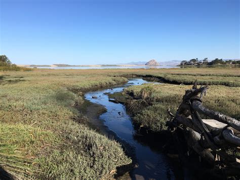 Want to discover art related to morro? Photo Friday: Changing Light Around Morro Bay