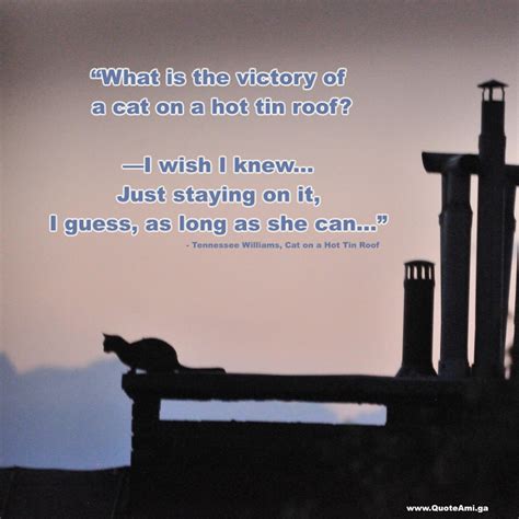 View quote brick pollitt : Cat on a hot tin roof... | Tin roof, Tin, Roof