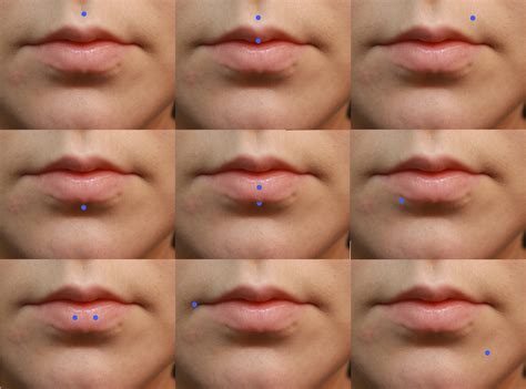 In most cases, cysts are caused by an infection or after tooth extraction or a surgical procedure. 20+ Ways To Have Your Lip Pierced (Part I) - Individual ...