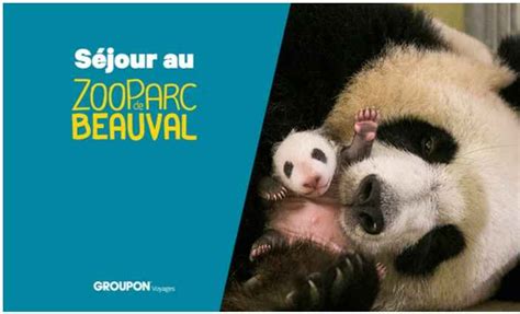 Le zooparc de beauval comme le zoo & les animaux. Bon plan séjour au Zoo Parc de Beauval ( nuits + entrées ...