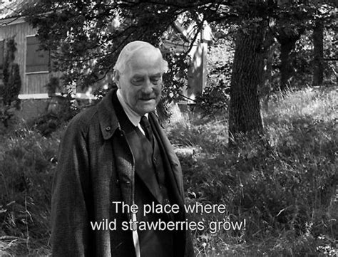 There are no approved quotes yet for this movie. Smultronstället (Wild Strawberries) - Ingmar Bergman ...