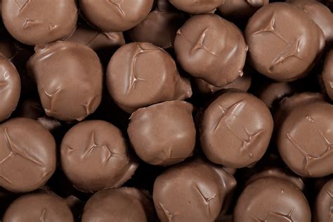 Maybe you would like to learn more about one of these? Milk Chocolate Vanilla Creams | Milk Chocolate | Gourmet ...