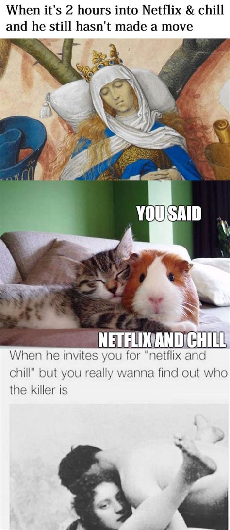 But more often you're texting someone you're interested in and it is not even subtle code for sex. 19 Hilarious Examples of What "Netflix and Chill" Really ...