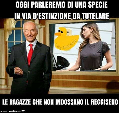 We regularly add new gif animations about and. Tutti i meme su Piero Angela - Facciabuco.com