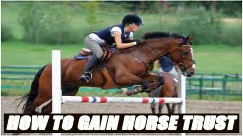 This comes with being respectful, caring, kind often times they are betrayed because of placing so much trust in a person and realizing that people have a tendency to portray themselves as great actors. How To Get Your Horse To Trust You - YouTube