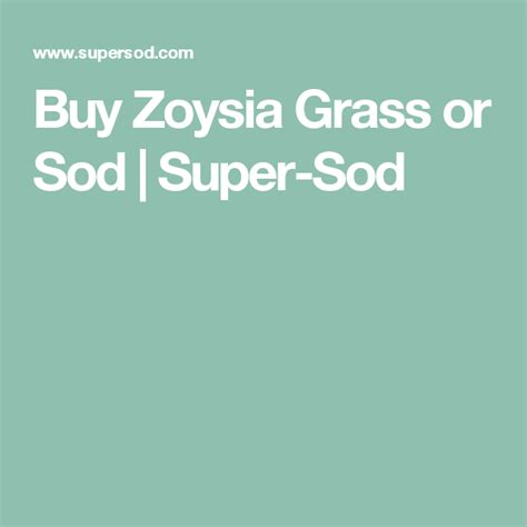 Zoysia /ˈzɔɪziə/ is a genus of creeping grasses widespread across much of asia and australia, as well as various islands in the pacific. Buy Zoysia Grass or Sod | Super-Sod | Zoysia sod, Zoysia grass, Sod