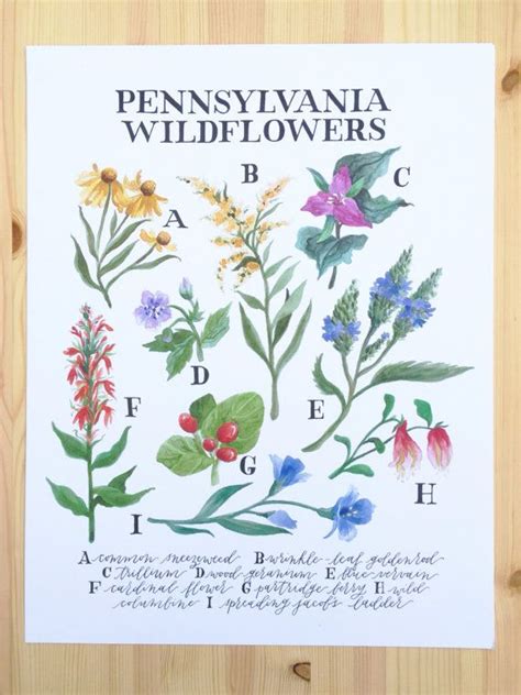 The western pennsylvania conservancy (wpc) is a private nonprofit conservation organization founded in 1932 and headquartered in pittsburgh, pennsylvania. Digital print made from our original watercolor painting ...