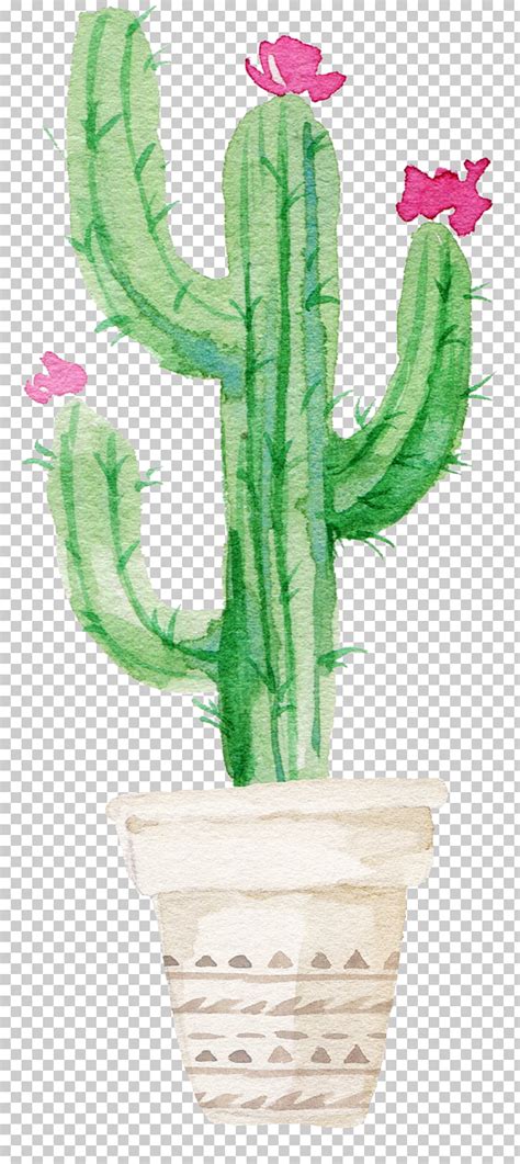 Maybe this cactus drawing post might be helpful to you or on the off chance that you need to peruse my post. Best 50+ How To Draw A Cactus Plant Step By Step ...