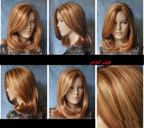 تسوق صبغة شعر افضل سعر ومراجعة في مصر ، اكتشف الجديد من لوريال باريس، غارنير، تشي. احدث الوان الشعر للبنات اجمل جديد