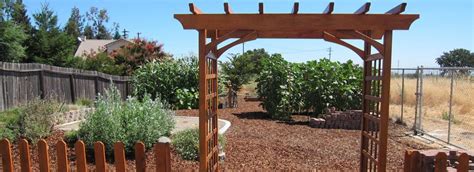 As the world leader in volunteerism we feel a responsibility to unite our broader community, and to use this moment to become stronger. Elk Grove Community Garden - Garden & Learning Center