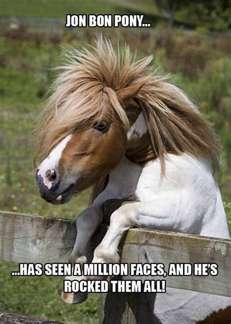 Pinoy hiddles memes by onecrazyfemale! This Jon Bon Pony Meme is too funny not to post! | Horses ...