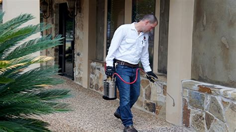 Led by branch manager roy hawkes, the prokill team in bristol combine highly accredited pest control experience and local knowledge to provide your home or business with. A Plus Pest Management - Pest Control Cleveland Tn.