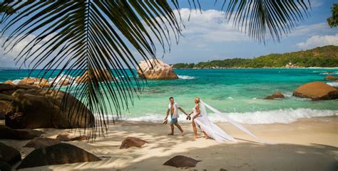 Op de seychellen zijn de stranden écht parelwit. Heiraten auf den Seychellen | Alles Infos für Eure Hochzeit