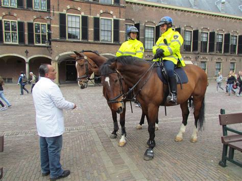 Als u een of meer honden houdt, moet u hondenbelasting betalen. Haagse ooievaar politie Haaglanden | Haagse ooievaar op ...