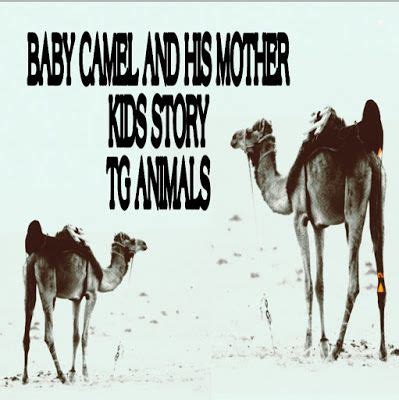 The poem describes a story about how the camel got his hump. Pin on Tg animals