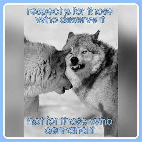 Featured inside you there are two wolves memes see all what is the meme generator? meme - respect wolves | Memes, Memes quotes, Respect