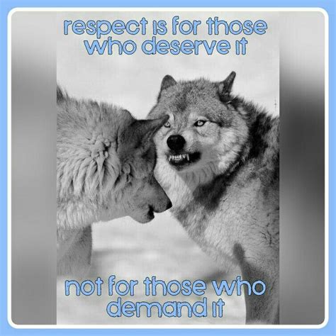 Jul 06, 2020 · laughing wolves, also known as three wolves, is an exploitable image macro series depicting three white wolves with two of them laughing at each other and the other staring unamused into the distance. meme - respect wolves | Memes, Memes quotes, Respect