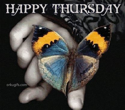 Allow nature's peace toflow into you as sunshineflows into trees happy thursday, good morning thursday quotes don't forget that you're human.it's okay to have a melt down.just don't unpack … happy-thursday have a beautiful day sweets | Beautiful ...
