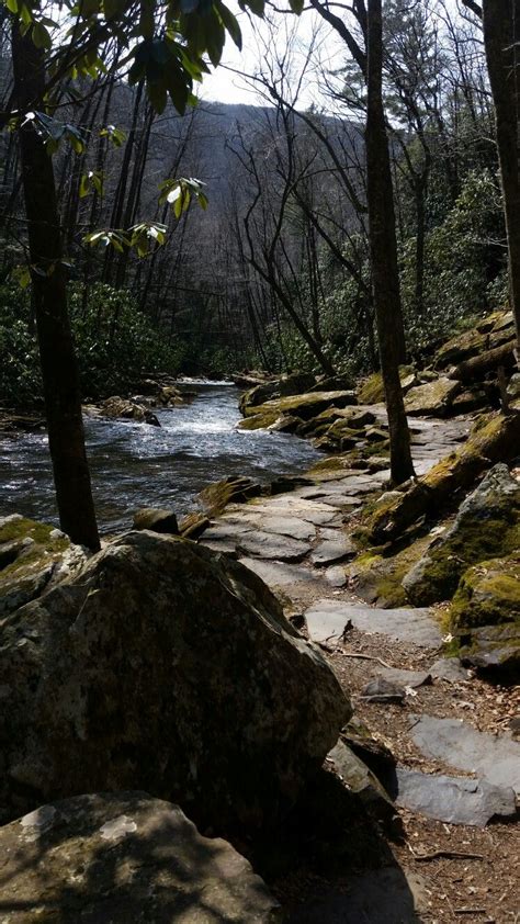 Maybe you would like to learn more about one of these? Pin by Terry Vest on Hikes at Cascades falls in Giles Va ...
