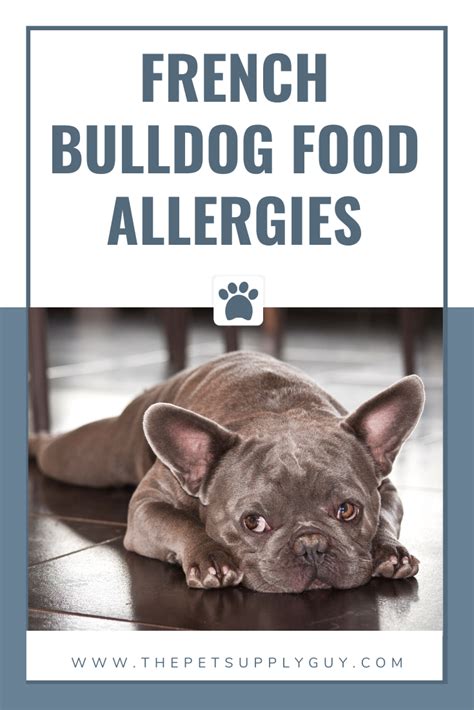 Meats, raw meaty bones, and organ meats mixed with a just add french bulldogs can have lots of allergies and health problems without being poisoned by crappy foods. Best Food for a French Bulldog with a Sensitive Stomach in ...